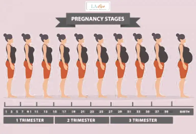 First Trimester (Weeks 1–12): Early Changes You Might Not Notice Lancaster